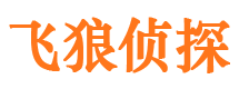 安源市侦探调查公司